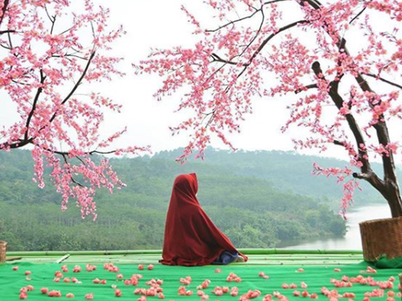 Peranan Wanita dalam Islam