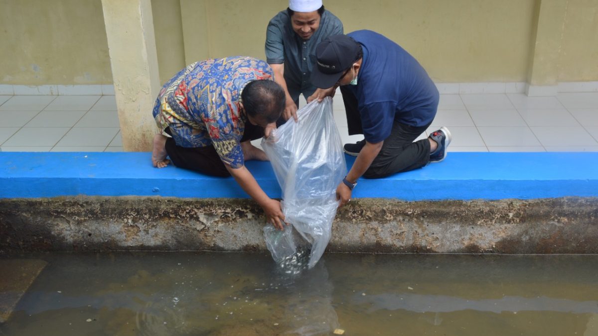 BPW Ar Risalah Padang Sebar Benih Ikan Usaha Produktif