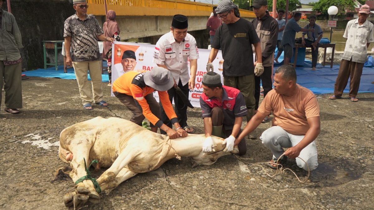 Berbagi dengan Masyarakat Sekitar, DPW PKS Sumbar Serahkan Sapi Kurban ke Masjid Al Furqon